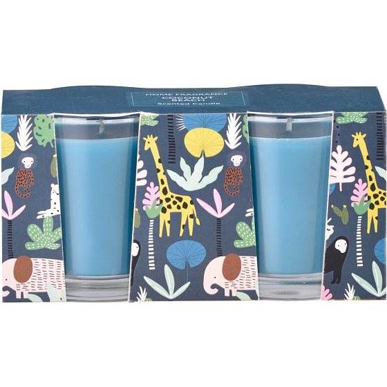 Emocio Coconut Beach - Coconut Beach scented candle glass 50 x 62 mm 2 pieces in box