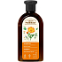 Green Pharmacy shampoo for oily hair with calendula and rosemary 350 ml