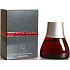 Antonio Banderas Spirit for Men EdT 30 ml eau de toilette Ladies