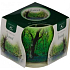 Essences of Life Forest aromatic candle in glass 100 g