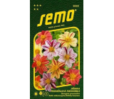 Semo Dahlia Fireworks 0.3 g