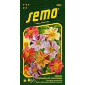 Semo Dahlia Fireworks 0.3 g