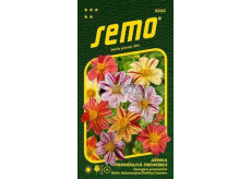 Semo Dahlia Fireworks 0.3 g