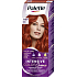 Schwarzkopf Palette Intensive Color Creme, hair dye, RV6 scarlet red, 50 ml