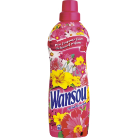 Wansou Spirit Bouquet fabric softener concentrated 40 doses 1 l