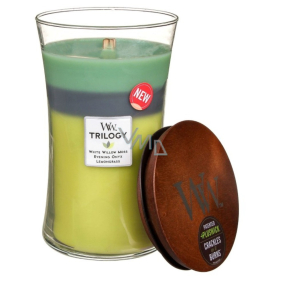 WoodWick Trilogy Woodland Shade - Forest shadow scented candle with wooden wick and lid glass large 609.5 g