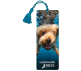 Prime3D Bookmark - Brady 5.7 x 15.3 cm
