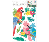 Wall sticker parrots 24 x 42 cm