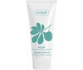 Ziaja Chestnut Leg Gel 100 ml