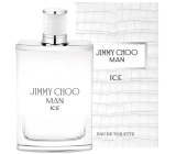 Jimmy Choo Man Ice Eau de Toilette for Men 100 ml