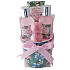 Salsa Collection White Rose and Musk shower gel 100 ml + body lotion 50 ml + bath foam 50 ml + bath salt 2 x 20 g, 4-piece ceramic pot