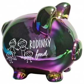 Albi Rainbow piggy money box Family fund 15 cm x 12.5 cm x 13 cm
