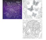 Ditipo Mystical Colouring for Adult relaxing colouring book for adults 36 pages 300 x 300 mm