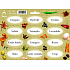 Arch Spice stickers Jute color print Oregano - pure types of spices