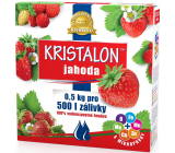 Agro Kristalon Strawberry water-soluble universal fertilizer 0.5 kg for 250 l of watering