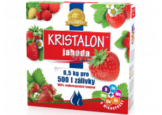 Agro Kristalon Strawberry water-soluble universal fertilizer 0.5 kg for 250 l of watering