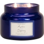 Village Candle Spring promise - Arctic Spring scented candle in glass 2 wicks 262 g