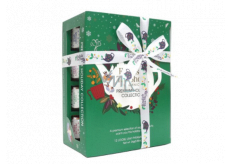 English Tea Shop Bio Green Christmas 12 pieces of loose tea pyramids, 4 flavors, 24 g gift set