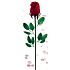 Rose flavored from silk feathers Princes red 1 piece