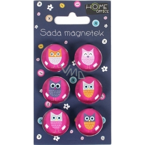 Albi Set of magnets Pink owls 2.3 cm 6 pieces