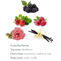 Panier des Sens Red berries luxury moisturizing lip balm 15 ml