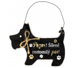 Nekupto Pets wooden sign Attention! Crazy cute dog 12 x 9 cm