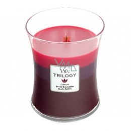 WoodWick Fireside - Fire in the fireplace scented candle with wooden wick  and lid glass small 85 g - VMD parfumerie - drogerie