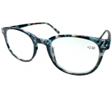 Berkeley Reading glasses +2.5 plastic tabby blue-green-brown 1 piece MC2198