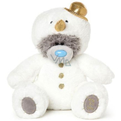 Me to You Teddy Bear in disguise 25 cm