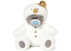 Me to You Teddy Bear in disguise 25 cm