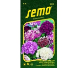Semo Bearded Pink - mixture of colors 0,5 g