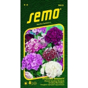Semo Bearded Pink - mixture of colors 0,5 g