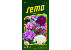 Semo Bearded Pink - mixture of colors 0,5 g