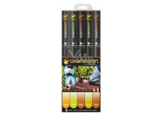 Chameleon Color Tones CT0503 sada tónovacích alkoholových fixů 5 kusů