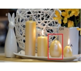 Lima Pastel candle metal dark yellow large egg 60 x 90 mm 1 piece