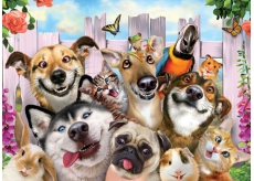 Prime3D Poster - Animal Selfie 39.5 x 29.5 cm