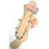 Albi Foot Jewellery Flowers with coloured rhinestones 1 piece