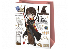 Epee Merch Harry Potter - Harry dárková papírová taška 26 x 33 x 13,5 cm