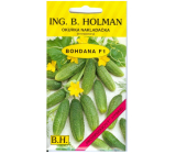 Holman F1 Bohdana pickling cucumbers 2 g