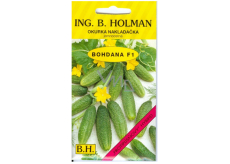 Holman F1 Bohdana cucumbers 2,5 g