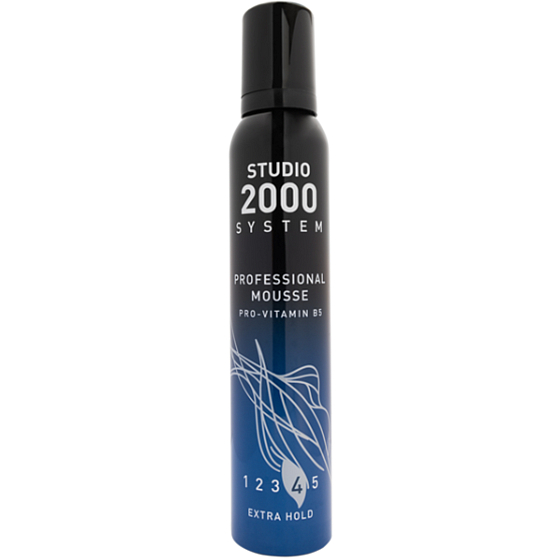 Studio Professional Mousse hair hardener, B5 provitamin 225 ml