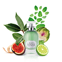 Laura Biagiotti Aqve Romane Divinium Ficus Eau de Toilette for Women 100 ml