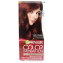 Garnier Color Sensation 5.62 Garnet Red
