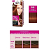Schwarzkopf Palette Perfect Color Care hair color 644 Dark cinnamon