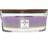 WoodWick Trilogy Amethyst Sky - Amethyst Sky scented candle with wooden wick and lid glass boat 453 g