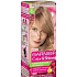 Garnier Color & Shine hair color 8.1 light blond ash