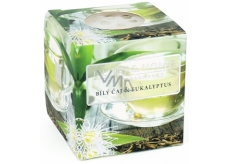 Candle without packaging White tea + eucalyptus