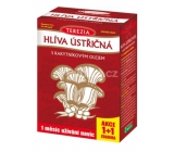 Terezia Oyster mushroom with sea buckthorn oil is 100% pure preparation with no high fiber content cps 60 + 60 capsules Christmas 2019