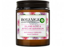 Air Wick Botanica Exotic rose and African geranium scented candle glass, burning time up to 40 hours 205 g
