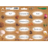 Arch Stickers for jugs Juta colour print Salt 22 x 16 cm SK